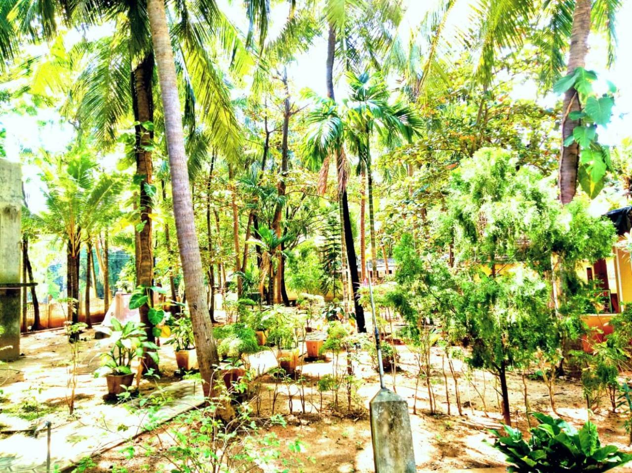 Palm Beach Resort By Yosha Guest Trincomalee Exterior photo