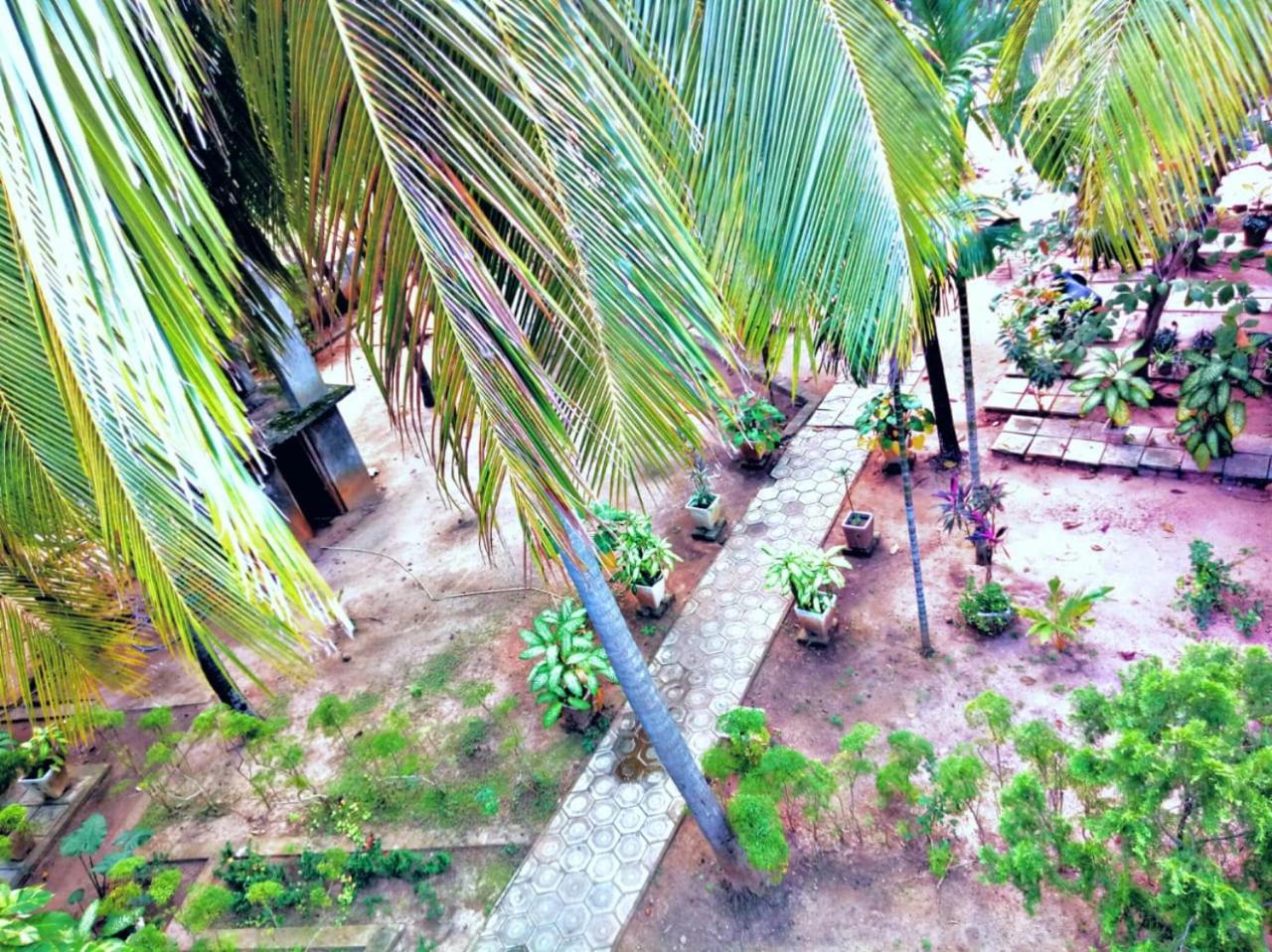 Palm Beach Resort By Yosha Guest Trincomalee Exterior photo