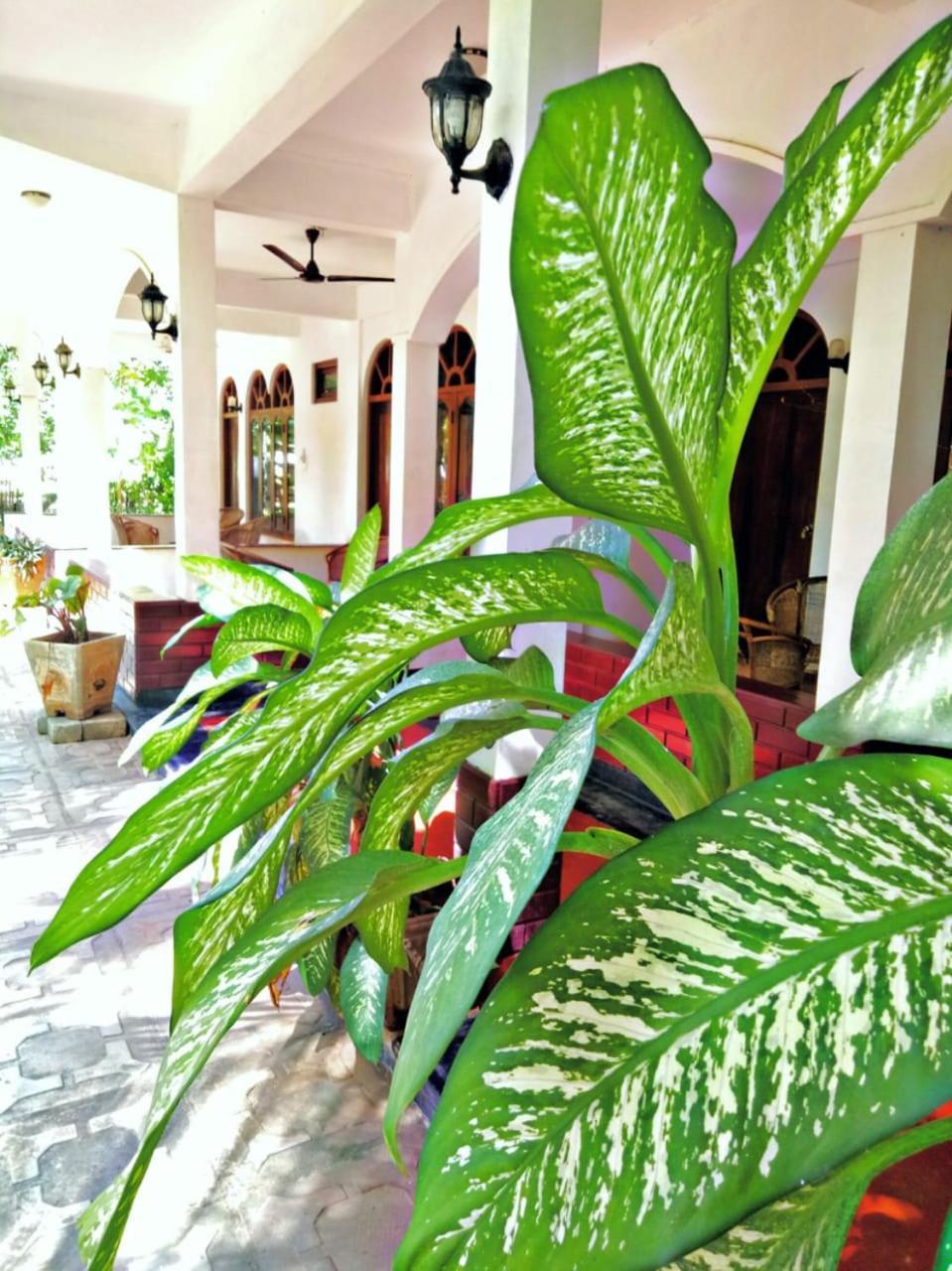 Palm Beach Resort By Yosha Guest Trincomalee Room photo